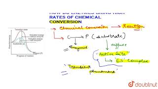 HOW DO ENZYMES BRING ABOUT SUCH HIGH RATES OF CHEMICAL CONVERSIONS?