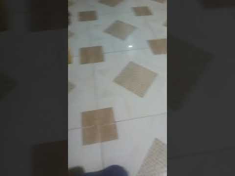 Reda loves his cat and does not disturb her while she sleeps