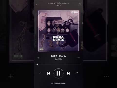 LANI-MO PARA (Remix) ft.Ricky Rich, Thrife, Dree Low, Blizzy, Nathan K