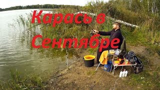 Ловля карася в сентябре на фидер