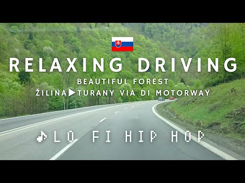 Slovakia 🇸🇰 Beautiful Forest Drive: Žilina ▷ Turany via D1 Motorway | Lo‑Fi Hip Hop