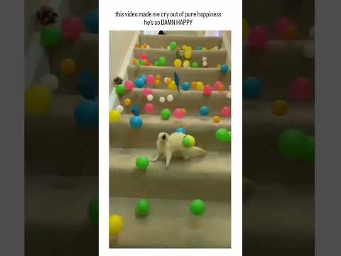 this video made me cry out of pure happiness he's so DAMN HAPPY 🥹😍