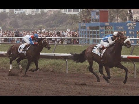 1996 Pacific Classic - Dare And Go Upsets Cigar