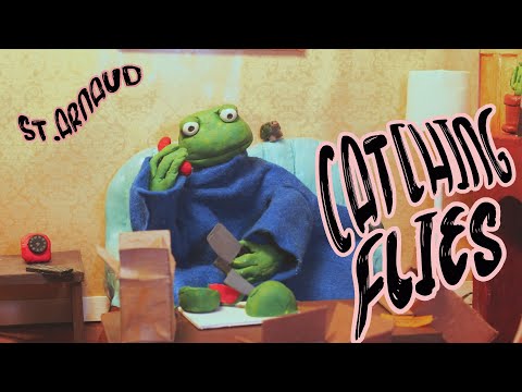 St.Arnaud - Catching Flies (Official Music Video)