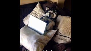 I Don&#39;t Know Why I Bother........... #ajluckyprank