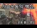 [한의빌더] 벤치프레스 및 가슴 운동 시 집중할 점.