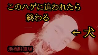 完全密室の地下駐車場でおじさん（犬）に狩られず逃げ切れ！！「地禍駐車場 The Cursed Underground Parking Lot」をプレイした。