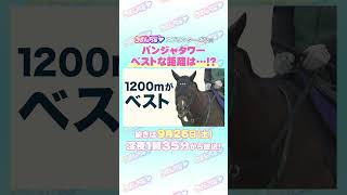 スプリンターズS GⅠ トレセン直撃取材！ #競馬 #スプリンターズS #パンジャタワー #橋口慎介 調教師