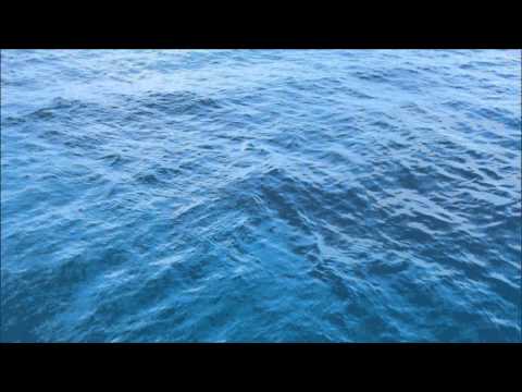 Steve Vicious - Pacific Blue (Instrumental/Beat)