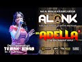 TEMAN BIASA DEVINTA SALATNAYA OM ADELLA ALONK 2025