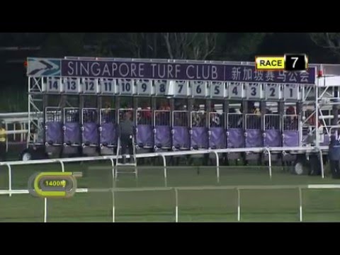 Ala Victory- Singapore Turf Club- Race 7, 12th February 2016