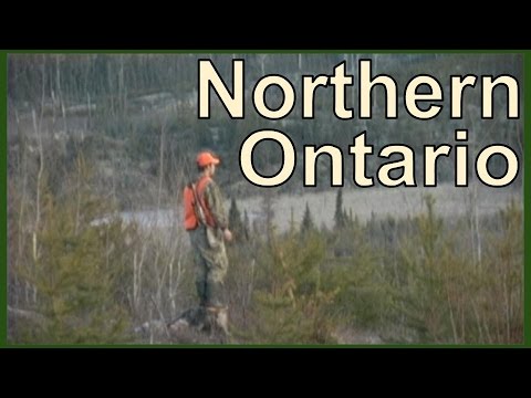 NORTHERN ONTARIO : BIG WOODS BUCKS Video