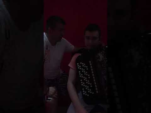 Skola harmonike Bojan Nesic +381631657772