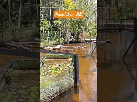 Iranduba-AM - Brasil - Rodovia Manuel Urbano