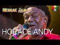 Horace Andy Live at Reggae Jam 2017