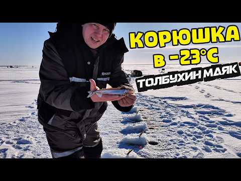 Smelt at -23°C. Tolbukhin Lighthouse. Experimenting with bait!