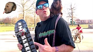Capuchin Monkey & Pet Human SkateBoarding