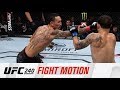 UFC 240: Fight Motion