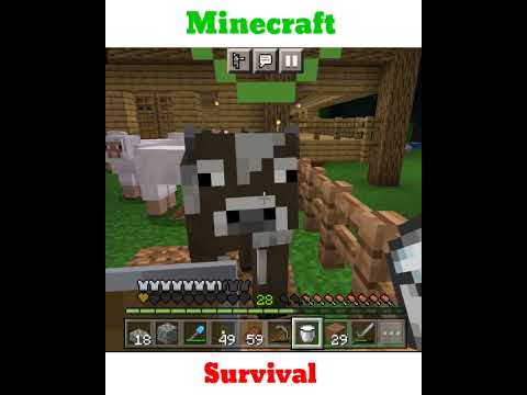 Witchcraft and Survival in Minecraft?? 🪄 #shorts