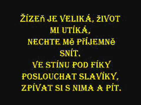 W. Matuška- Slavíci z Madridu