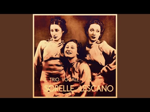 E arrivato l ambasciatore