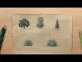 How to Draw Trees and Bushes - Landscape in Colored Pencil
