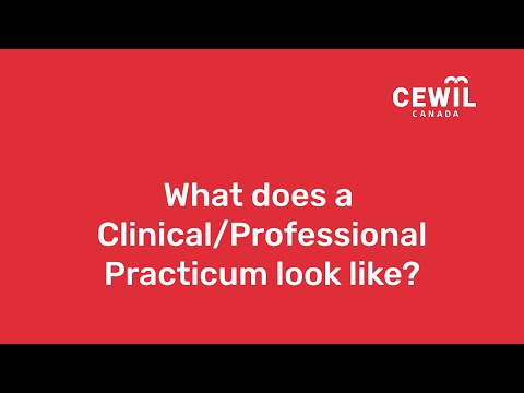 Mandatory Professional Practicum/Clinical Placement - What do they look like?
