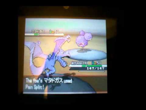 Pokemon Black Random Matchup Epic Comeback
