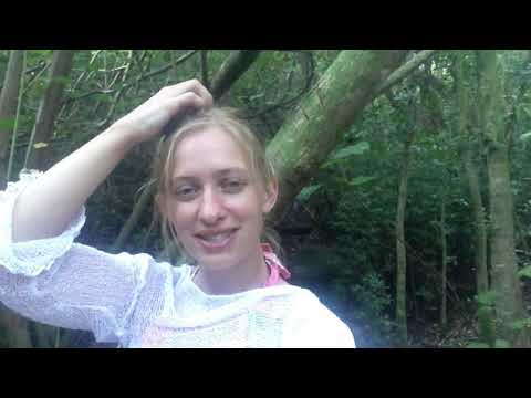 Ölvideo der Woche - Teebaum