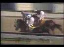 Timber Country Preakness Stakes 1995 + overview