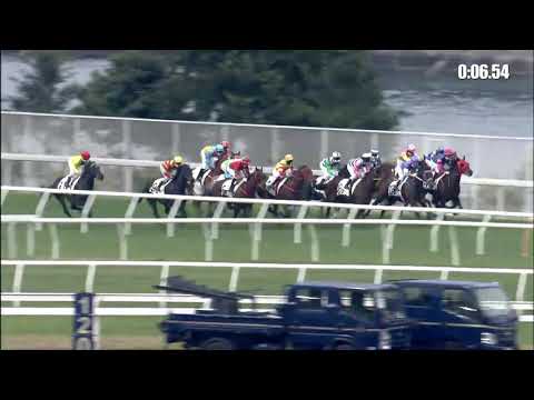 足金好球21/01/10……(334)第九塲三班1600米