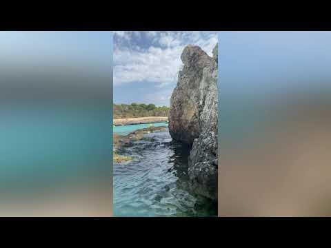 MALLORCA ‼️parque natural de mondragon