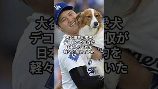 大谷翔平の愛犬デコピンの年収が日本人の平均を超えていた #大谷翔平 # #mlb