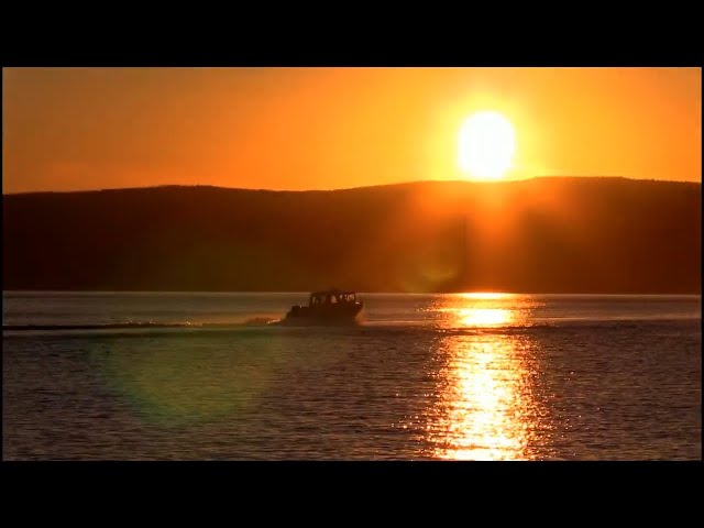 Нужна помощь соседей