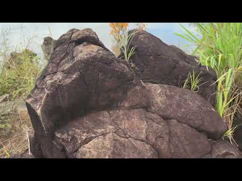 Pedras misteriosas nas margens do Rio Tocantins #tocantins #foryou #riotocantins 