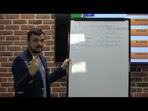 Pregătire de BAC la Biologie Lecția 4: Principii de clasificare a organismelor.