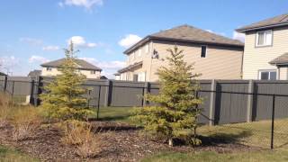 Bike Ride in the Neighbourhood