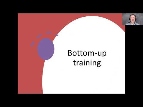 NeuroMotor Training: the nervous systems / bottom-up and top-down training / BDNF / Neuroplasticity