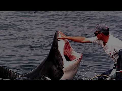 Die 5 unglaublichsten Freundschaften zwischen Mensch und Tier