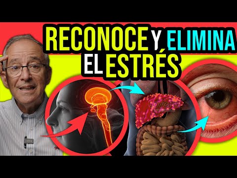 EL ESTRES MATA TU VIDA Reconoce Que Vives Con Estres - Oswaldo Restrepo RSC