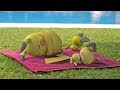 Pikachu & Pichu IN REAL LIFE - The World Of Pokémon