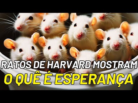 Assistir no YouTube