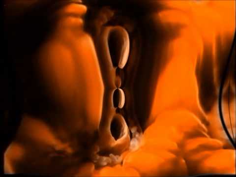 GREAT CHARITY SHOP FINDS No 26 - SILVER MACHINE