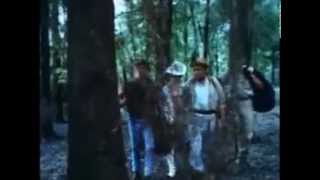 The Ventures - Peter Gunn