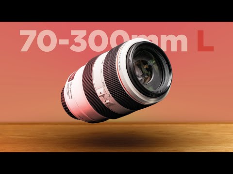 Video thumbnail for Video Review 3