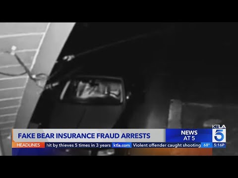 Four arrested for insurance fraud after faking bear attacks using costume