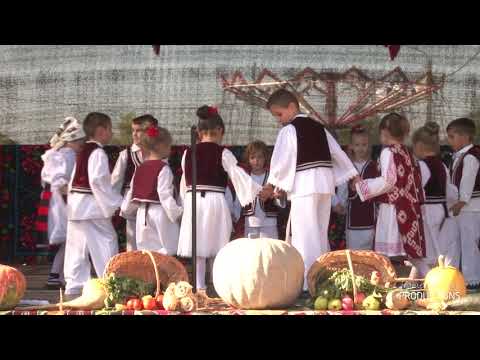 Copiii grădiniței Cenei - dansuri sârbești din banat | Cenei 2019