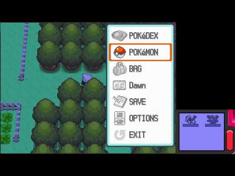 Diamond/Pearl - Silent Route 214 glitch