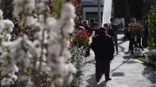 preview picture of video '1000 e 1 FIORE 2014 Centro VIVO Castelfranco Emilia (Modena)'