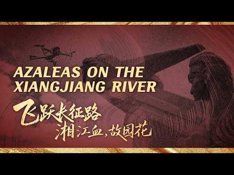 Azaleas on the Xiangjiang River